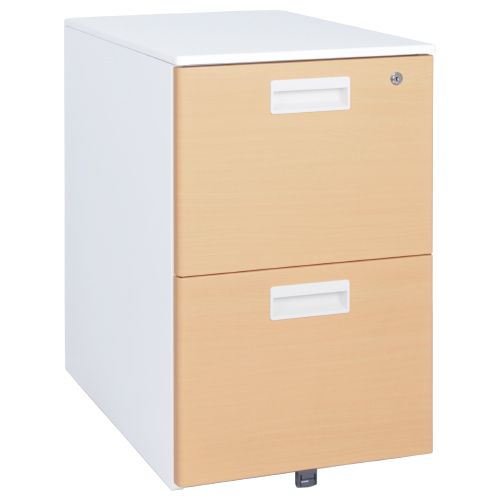 File Racks - 【法人限定】 スチールワゴン DCKDN-2 カグクロ メーカー直送