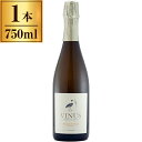 ヴィニウス リザーヴ ピクプール・フリザンテ 750ml 微発泡ワイン フランス 辛口 ミディアムボディ