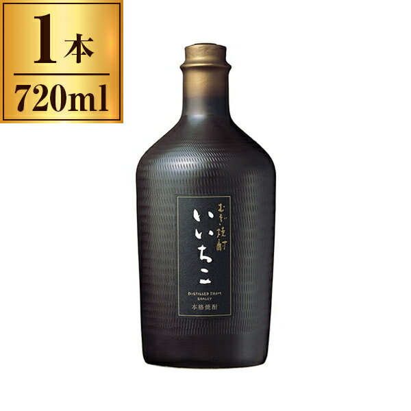 三和酒類 いいちこ民陶・くろびん 25度 720ml【麦 焼酎 大分 宇佐 日田】