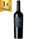 ルティーニ トランぺッター メルロー 750ml 【 アルゼンチン 赤 ワイン フルボディ 】