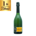 ネブリナ スパークリング / VCSワイナリー 750ml 白ワイン チリ 辛口 ミディアムボディ(4)