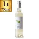 プルマヴィーニョ・ヴェルデ750ml スパークリングワイン ポルトガル(4)