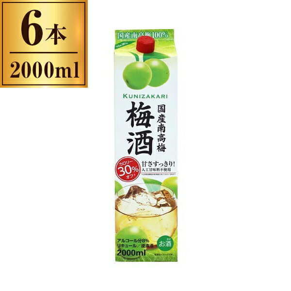 中埜酒造 國盛 国産南高梅梅酒 パック 2Lx6 メーカー直送 プレゼント ギフト