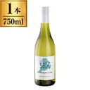 ソーヴィニョンブラン・サウスシー 750ml