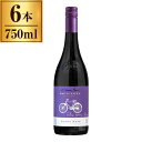 【6本セット】コノスル ピノ・ノワール ビシクレタ レゼルバ / ヴィーニャ・コノスル 750ml