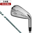 ELYTE X(エリート エックス) アイアンセット5本組(#6〜Pw) 2025年モデル 【日本正規品】