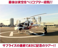 ディナークルーズ、東京遊覧ヘリコプター6