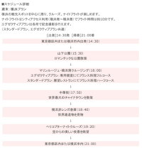 ディナークルーズ、東京遊覧ヘリコプター2