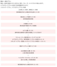 ディナークルーズ、東京遊覧ヘリコプター3