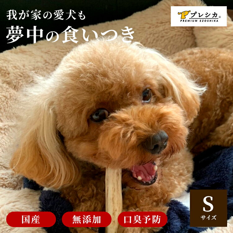 【小型犬用 12cm Sサイズ 鹿の角 半割り2本セット】犬 噛む おもちゃ 犬 歯石 鹿の角 鹿角 シカの角 ジビエ ペットフード ご飯 ごはん おやつ 餌