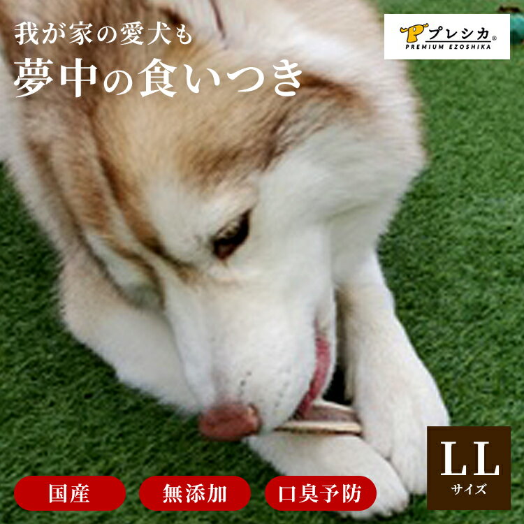 【大型犬用 12cm LLサイズ 鹿の角 半割り2本セット】犬 噛む おもちゃ 犬 歯石 鹿の角 鹿角 シカの角 ジビエ ペットフード ご飯 ごはん おやつ 餌