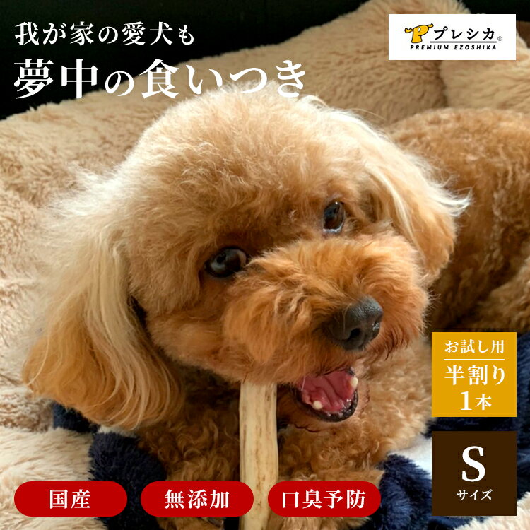 【お試し 小型犬用 12cm Sサイズ 鹿の角 半割り 1本】犬 噛む おもちゃ 犬 歯石 鹿の角 鹿角 シカの角 ジビエ ペットフード ご飯 ごはん おやつ 餌