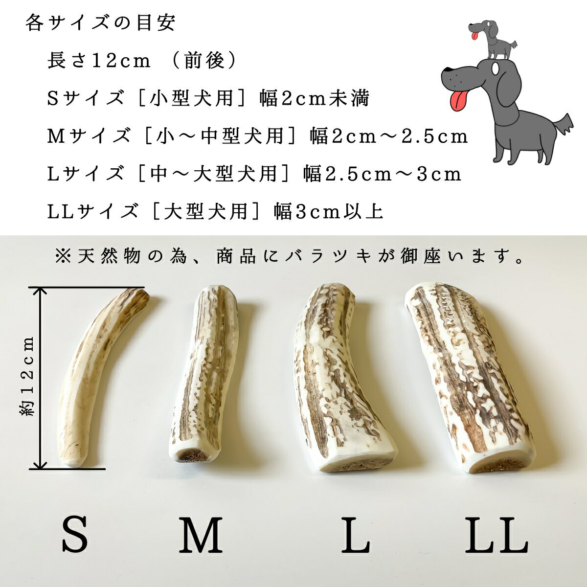 【中型犬用 12cm Mサイズ 鹿の角 半割り2本セット】犬 噛む おもちゃ 犬 歯石 鹿の角 鹿角 シカの角 ジビエ ペットフード ご飯 ごはん おやつ 餌