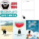 私製葉書 暑中・残暑見舞いはがき 夏のおたより くまモン版 くまモングッズ 名入れ印刷なし暑中見舞い カード ひまわり ヒマワリ ひまわり畑 向日葵 イラスト ...
