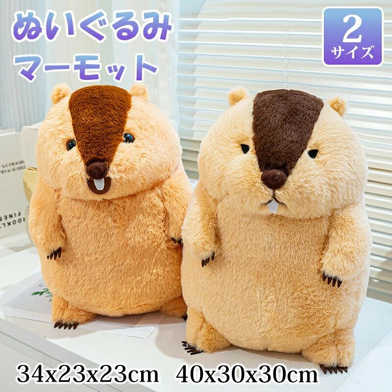 tk0171.jpg