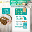 【公式ショップ】プロバイオデンタル 猫用 パウダー 7.2g サーモン風味 口腔善玉菌 サプリメント ネコちゃん 猫 口腔ケア 口臭ケア サプリ 粉 粉末 デン...