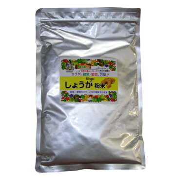 しょうが粉末 (220g) [キャンセル・変更・返品不可]