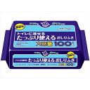 アクティトイレに流せるおしりふき100枚 [キャンセル・変更・返品不可]