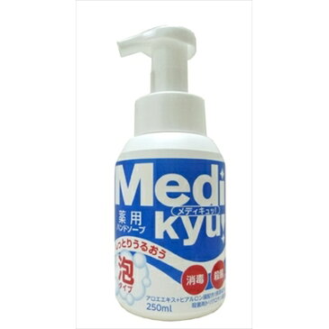 薬用泡ハンドソープメディキュッ本体 250ML [キャンセル・変更・返品不可]