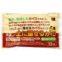 快温くんプラス 土に還せるカイロ 貼らないタイプ 10個入 [キャンセル・変更・返品不可]