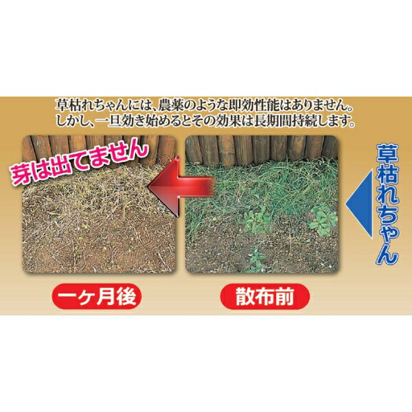 除草材「草枯れちゃん」5kg [キャンセル・変更・返品不可] 2