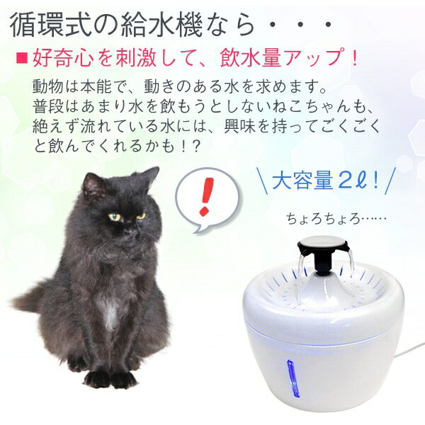 大容量2L USB-ACアダプター付属 ねこ用循環式自動給水器 猫 用品 ペット おやつ 熱中症対策 [キャンセル・変更・返品不可]