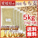 国産 もち麦 5kg 愛媛県産(純国内産10割) [送料無料]