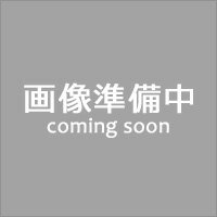 長崎プレミアムちゃんぽん・皿うどんセット (PLS-10) [キャンセル・変更・返品不可]