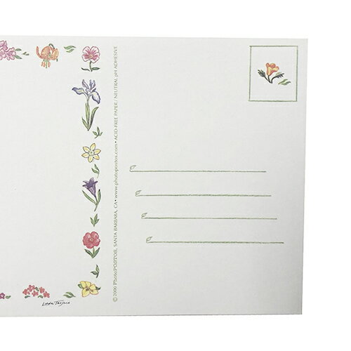 フォトポスト ワイルドフラワー 【4枚入り】 966 インポート 輸入品 アメリカ 写真 加工 デコ 手紙 ポストカード 送料無料 メール便配送【ds】