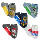 pEpg[ C 5 Zbg ( MTCY SHOE SIZE 7.5-3.5 ) 17737 pEpg q  LbY AN\bNX Ԃ \bNX j̎q c LN^[ ObY Ai C|[g AJ Paw Patrol Ankle Socks