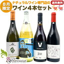ナチュラルワイン 【 月替わり 8月限定 4本 セット 】(750ml×3、1000ml×1) 白 赤 ワイン ワインセット & 自然派ワイン を楽しむための プレヴナン オリジナル小冊子 ギフト 期間限定