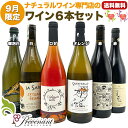 ナチュラルワイン 【 月替わり 9月限定 6本 セット 】(750ml×6) 白泡 白 ロゼ オレンジ 赤 ワイン ワインセット & 自然派ワイン を楽しむための プレヴナン オリジナル小冊子 ギフト 期間限定 ホームパーティ