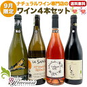 ナチュラルワイン 【 月替わり 9月限定 4本 セット 】(750ml×4) 泡白 白 ロゼ 赤 ワイン ワインセット & 自然派ワイン を楽しむための プレヴナン オリジナル小冊子 ギフト 期間限定