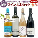 ナチュラルワイン 【 月替わり 10月限定 4本 セットB 】(750ml×4) オレンジ泡 白 ロゼ 赤 ワイン ワインセット オーガニックワイン オーガニック 無農薬 ギフト 期間限定