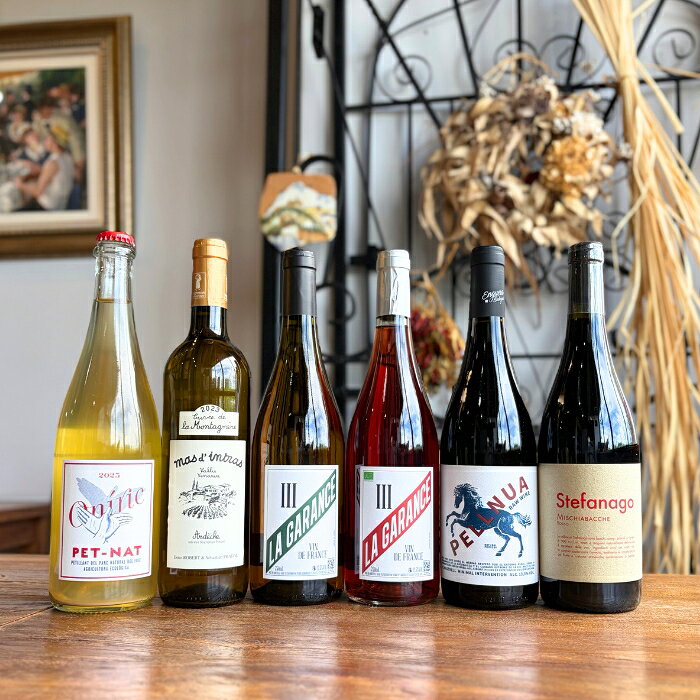 ナチュラルワイン【 月替わり 7月 限定 6本 セット】（750ml×6）泡 ロゼ 白 赤 ナチュールワイン 自然派ワイン 無農薬 オーガニック オーガニックワイン ワイン 白ワイン 赤ワイン ロゼワイン スパークリングワイン ナチュラルワイン セット prevenant-10000109 ナチュラルワイン専門店プレヴナン サンプル画像2