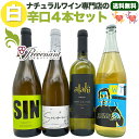 ナチュラルワイン【 白ワイン 4本 セット 】(750ml×3、1000ml×1) ワインセット 白 ワイン & 自然派ワイン を楽しむための プレヴナン オリジナル小冊子 ギフト 期間限定 ホームパーティ