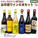 ナチュラルワイン 【 お手頃価格 ワイン 6本 セット 】(750ml×6) デイリーワイン 赤 白 ワインセット & 自然派ワイン を楽しむための プレヴナン オリジナル小冊子 ギフト 期間限定 ホームパーティ