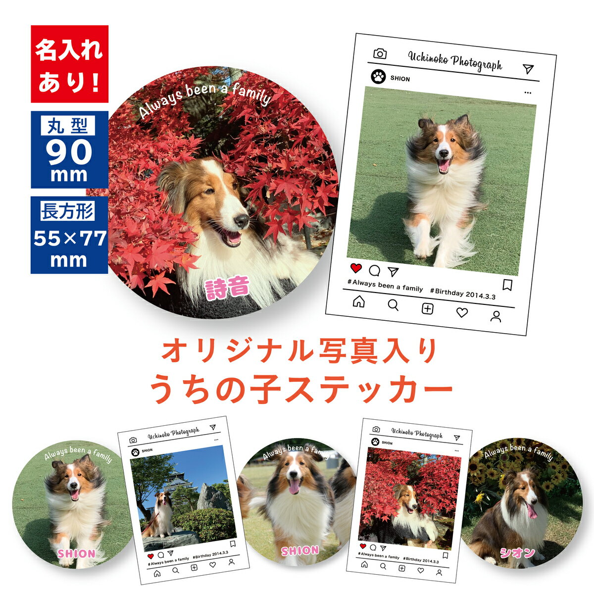 Rakuten - うちの子ステッカー
