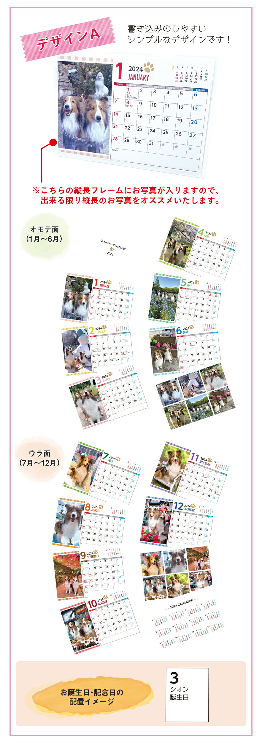 �����λ� �������������B6��������(1������ȡ�4�������) ( �ڥå� �������� ��奫������)