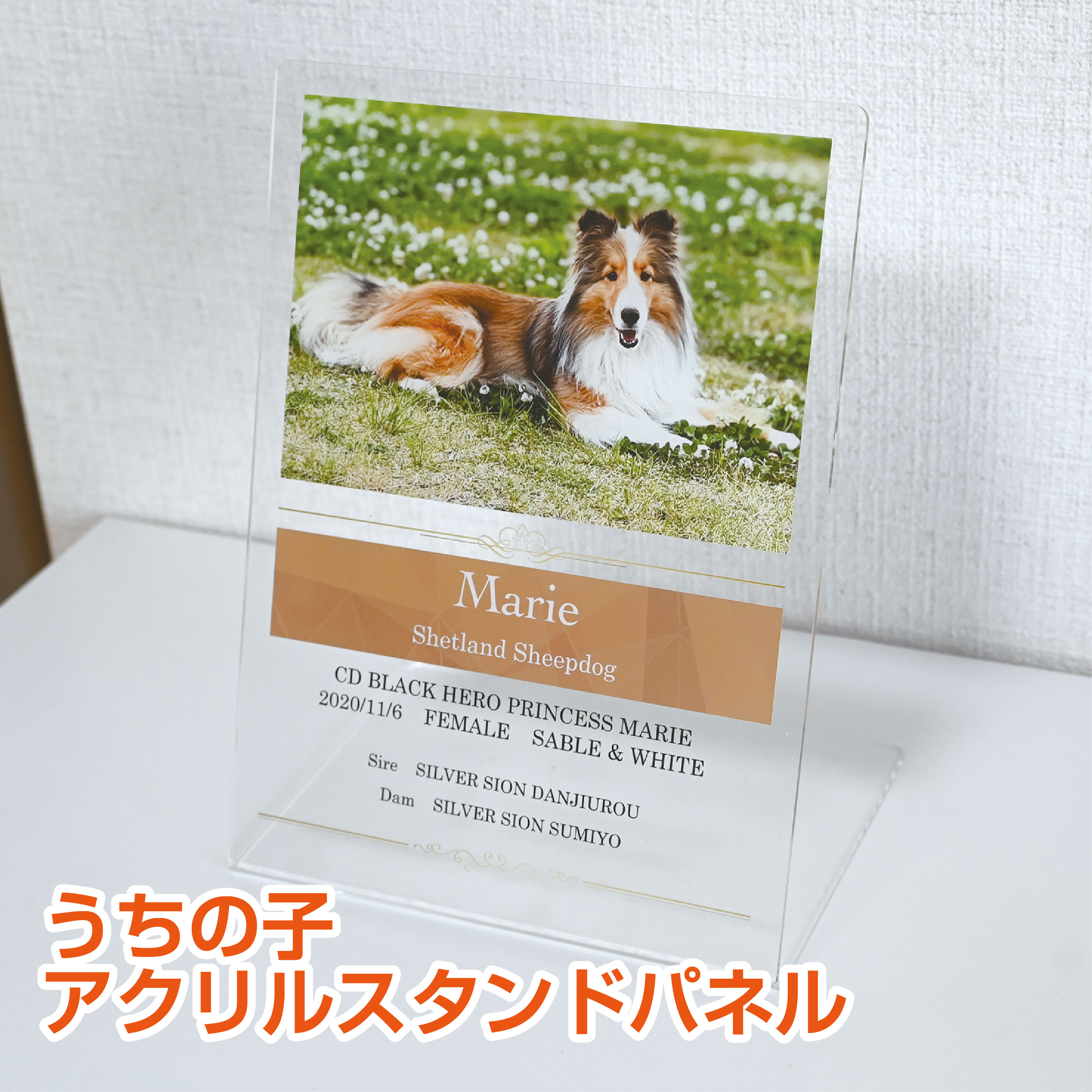 Rakuten - うちの子 アクリルスタンドパネル　約24cmプレゼント　記念品　メモリアル　にも