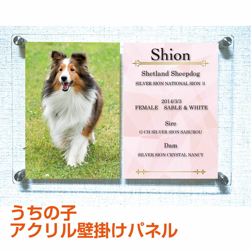 うちの子 アクリル壁掛けパネル プレゼント 記念品 メモリアル にも