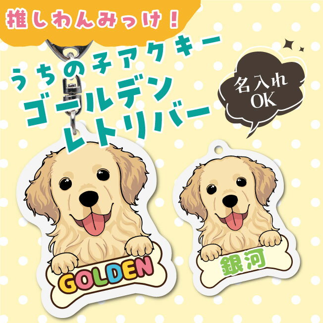 Rakuten - うちの子アクキー ゴールデンレトリバー イラスト アクリルキーホルダー(PRI-SHION オリジナル イラスト ゴールデン アクリルキーホルダー かわいい 犬 わんこ アクキー キーホルダー 名入れ ネームプレート)
