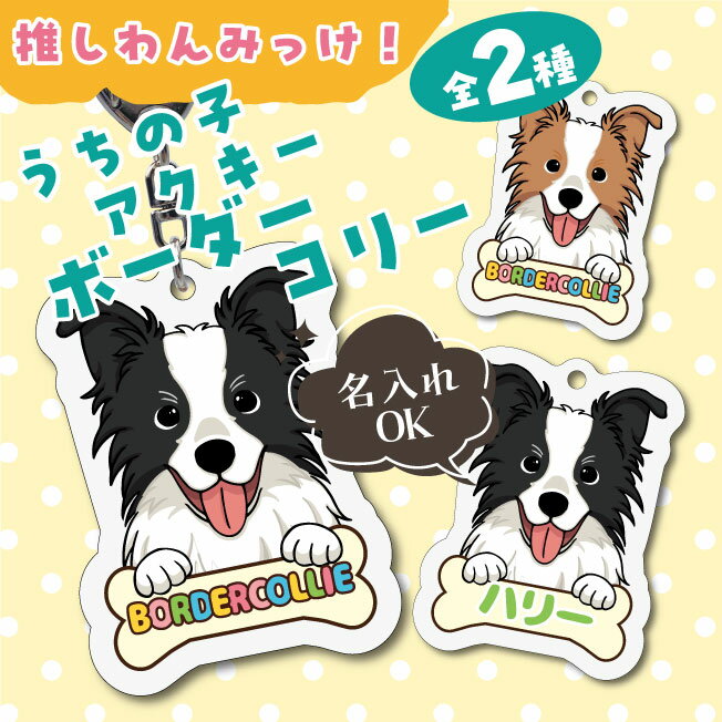 Rakuten - うちの子アクキー　ボーダーコリー イラスト アクリルキーホルダー(PRI-SHION オリジナル イラスト アクリルキーホルダー かわいい 犬 わんこ アクキー キーホルダー 名入れ ネームプレート)