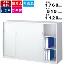 引戸書庫 ANW-645S 奥行515mm システム収納庫 壁面収納庫 キャビネット スチール書庫 下置き用 下置用 完成品 保管庫 収納庫 カギ付き書庫 鍵付き書庫 シリンダー錠 業務用 インテリア ファイル収納 インテリア オフィス収納 オフィス家具