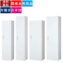 更衣用ロッカー 片開きロッカー スチールロッカー スキマロッカー 業務用 オフィス家具 オフィス収納 完成品 衣類収納 オフィス収納 個人ロッカー パーソナルロ...