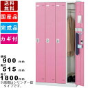 【店内全品ポイント2倍!!各種クーポン配布中】4人用更衣用ロッカー SLB-4-R 4人用ロッカー ブルー ピンク ホワイト コインリターン錠タイプ スポーツ施設 温浴施設 スチール製 カマ錠 カラー扉 小物ポケット付タオル掛け 網棚(3)