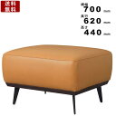オットマン WE-912 マスター ソファー 幅700mm×奥行620mm×高さ440mm 本革 リビング ダイニング 家具 大型家具 高級感 存在感 木フレー...