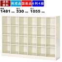 【楽天お買い物マラソン!!各種クーポン配布中】24人用シューズボックス BS-24NW6LN 6列4段 オープンタイプ スチール製 シューズラック 収納ロッカー オープン収納 備品ラック 収納棚 靴棚 くつ棚 シンプル シューズトレー対