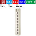 【楽天お買い物マラソン!!各種クーポン配布中】9人用シューズロッカー BST1-9WMXKN 1列9段 鍵付き 窓付き 扉付きタイプ スチール製 シューズボックス 収納ボックス スチールロッカー スリムラック 薄型 透明窓付き オフィス