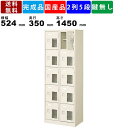 【楽天お買い物マラソン!!各種クーポン配布中】10人用シューズロッカー BST2-5HMXN 2列5段 中棚付き 窓付き 扉付きタイプ スチール製 シューズロッ...